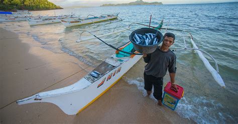 rare_filipina|Fish Forever in the Philippines – Rare.